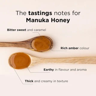 MANUKA DOCTOR Multifloral Manuka Honey 30+ MGO- 500g